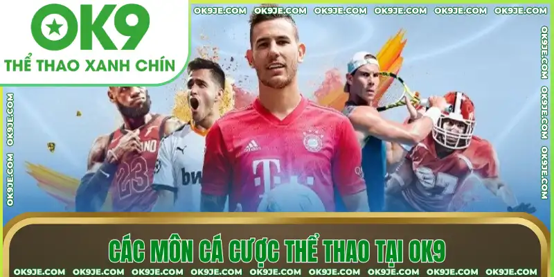 Các môn cá cược thể thao tại OK9 Các môn cá cược thể thao tại OK9
