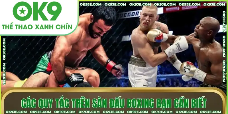 Các quy tắc trên sàn đấu boxing bạn cần biết Các quy tắc trên sàn đấu boxing bạn cần biết