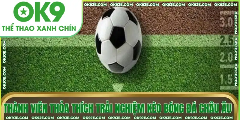Thành viên thỏa thích trải nghiệm kèo bóng đá châu Âu Thành viên thỏa thích trải nghiệm kèo bóng đá châu Âu